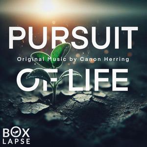 Pursuit of Life