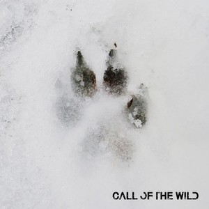 Call of the Wild