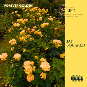 Life (Explicit)