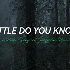 Little Do You Know (feat. Jacqueline Pham)