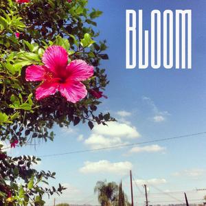 Bloom (feat. Gallo) [Explicit]