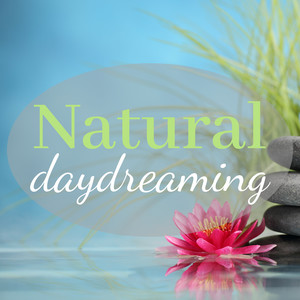 Natural Daydreaming - 20 Tracks for Anxiety Relief