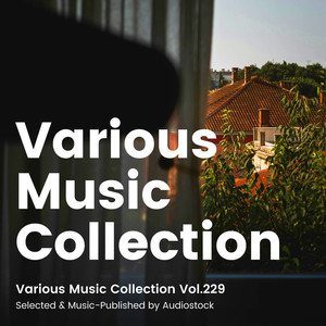 Various Music Collection Vol.229 -Selected & Music-Published by Audiostock-