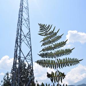 Fertilizer (Explicit)