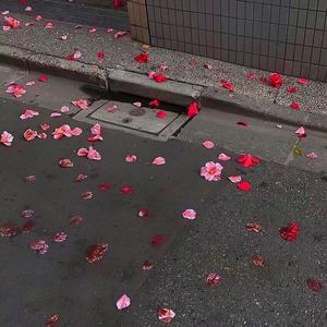 花海 (翻自 Jay)