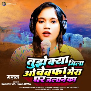 Tujhe Kya Mila O Bevfa Mera Ghar Jalane Ka