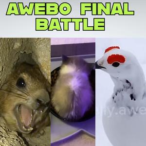 WIWIWI vs AWAWA vs AWEBO