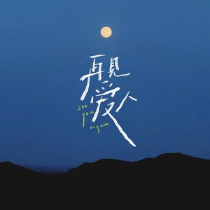 再见爱人 (箱琴版)