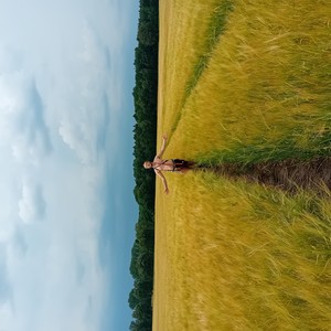 Der Zug in die Freiheit (Original)