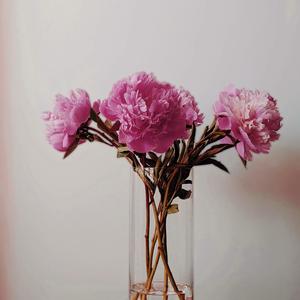Peonies