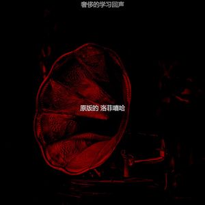 奢侈的学习回声