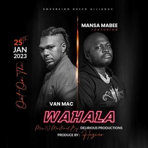 Wahala (feat. Vanmac)