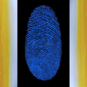 Please Don't Go(feat. Seybin, Rhinobeatsdc, Real Pedrom & Ragged)