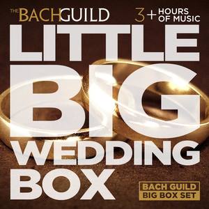 Little Big Wedding Box