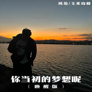 你当初的梦想呢 (唤醒版)