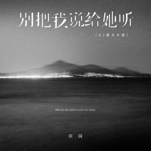 田园 - 别把我说给她听 (DJ豪大大版)