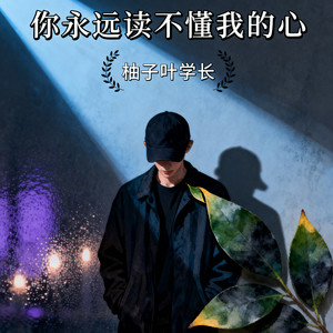 你永远读不懂我的心 (撕心裂肺版)