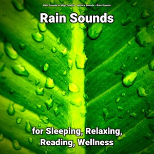 Rain Sounds for Sleeping, Relaxing, Reading, Wellness