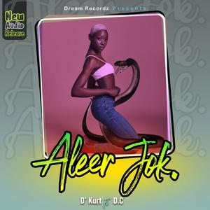 Aleer Jok(feat. D.C)