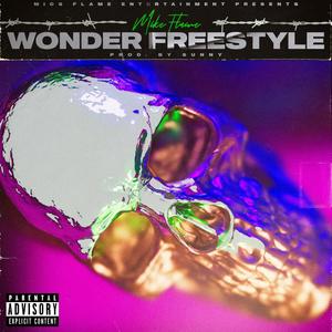 Wonder Freestyle (Explicit)