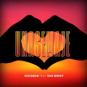 UNASEMAJE (feat. Sha biggy)