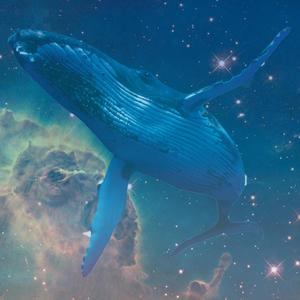 Lionize - Loneliest Whale