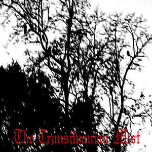 deep despair and suffering in the cold nebula