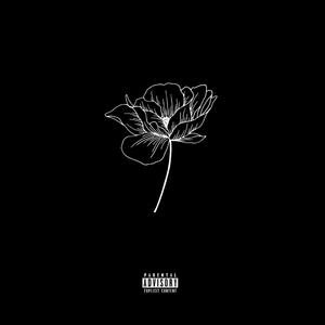 high up in the air (Explicit)