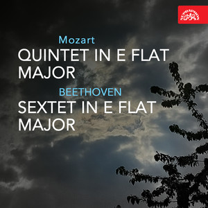 Quintet for Piano, Oboe, Clarinet, French horn and Basoon in E-Flat Major, K. 452 - II. Larghetto