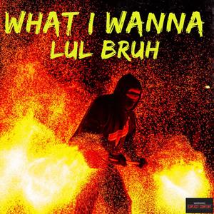 What I Wanna (Explicit)