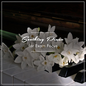 Beethoven's Sonata No 7 in D Major Op 10 No 3 I Presto