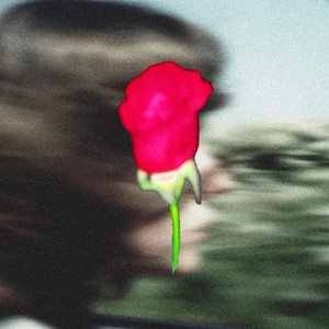 Our Roses