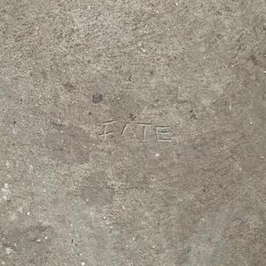 FATE (feat. SAVNT) (Single Version)