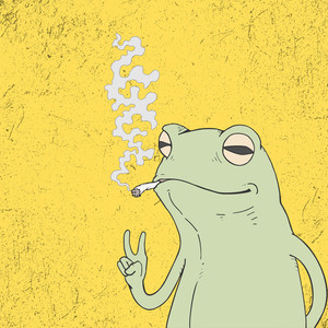 Tipo Sapo-Cururu Freestyle (Explicit)