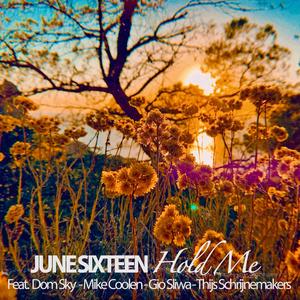 Hold Me(feat. Dom Sky)