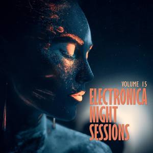 Electronica: Night Sessions, Vol. 15