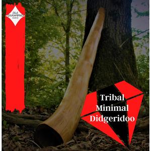 Techno Melodic Didgeridoo(Bass Fx)