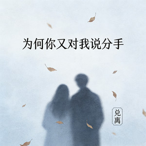 为何你又对我说分手