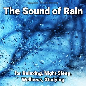 The Sound of Rain for Relaxing, Night Sleep, Wellness, Studying