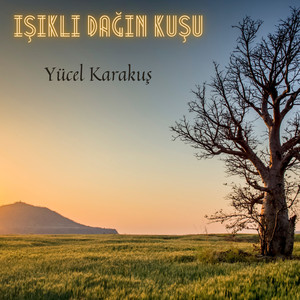 Bülbül Havalanmış Yüksekten Uçar (Explicit)