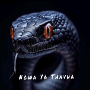 Nowa ya thavha (Explicit)