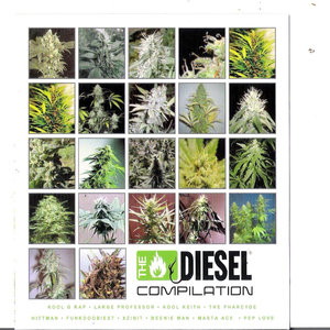 Diesel Compilation: Sickbay Records