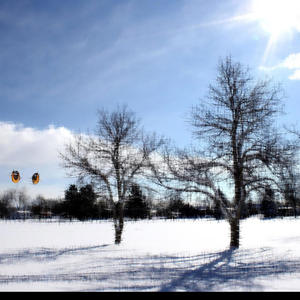 lost cause (Explicit)