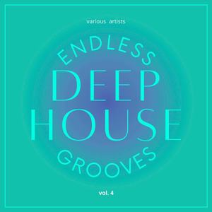 Endless Deep-House Grooves, Vol. 4 (Explicit)