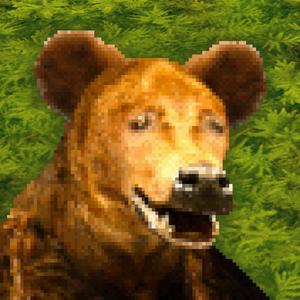 5 (Updated Version|Voima Version)