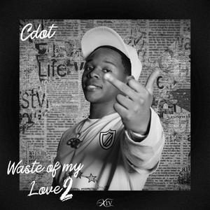 WASTE OF MY LOVE, Pt. 2 (Explicit)