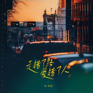 走错了路爱错了人 (DJ Eva版)