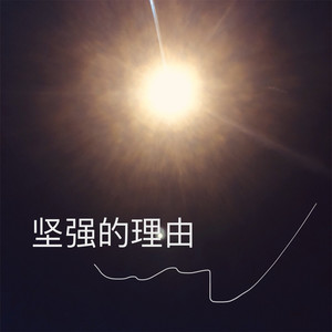 坚强的理由 (无损)