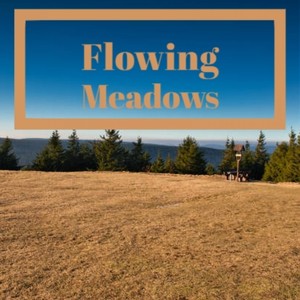 Flowing Meadows