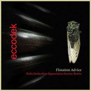 Flotation advice (Delia Derbyshire Appreciation Society Remix)